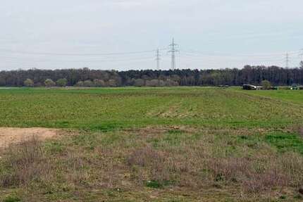 Grundstück Hambrücken - 325.000&euro; | Angebot:25887989