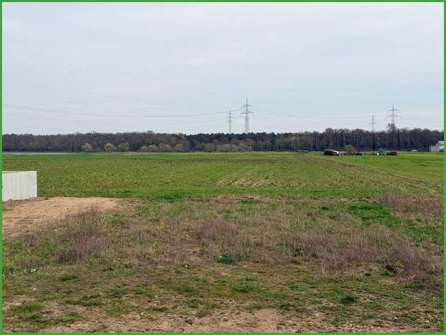 Grundstück Hambrücken - 325.000&euro; | Angebot:25887989