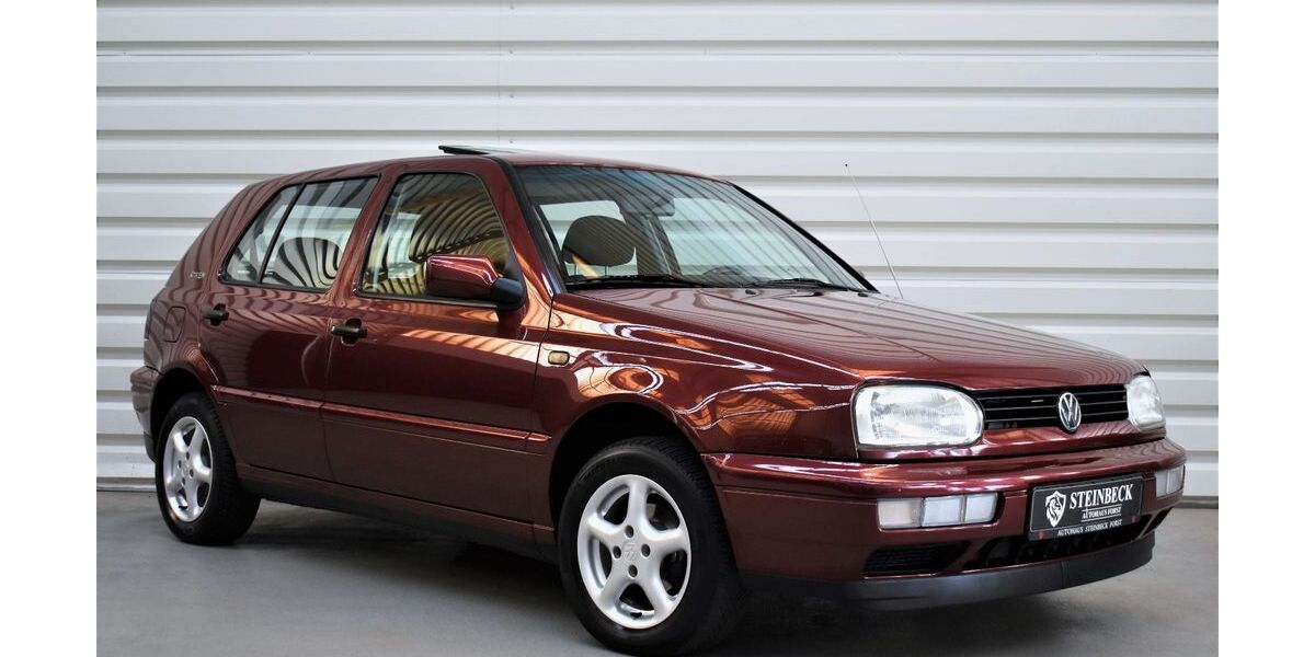 VW Golf 170.995 km 4.990 &euro; Forst 76694