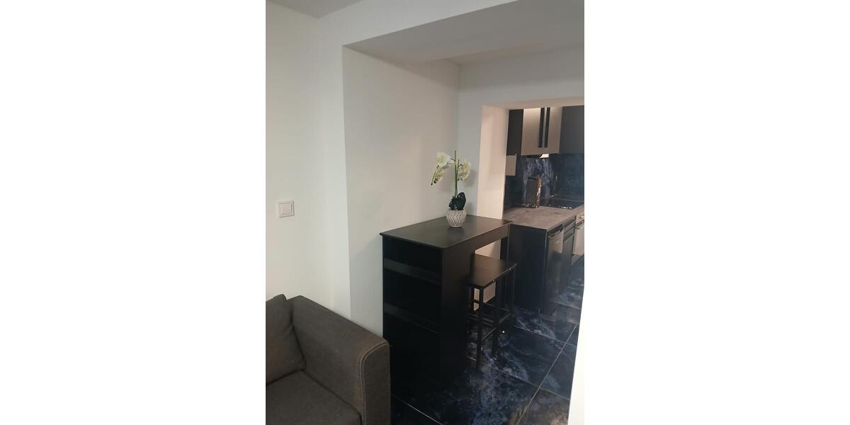 Erdgeschoßwohnung Sachsenheim - 1 Zimmer, 30 m&sup2;, 700&euro; | Angebot:25366785