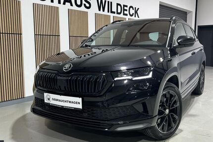 Skoda Karoq 97.200 km 29.990 &euro; Abstatt 74232