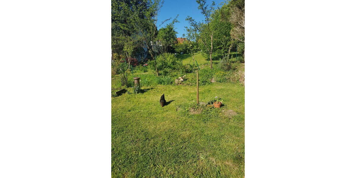 Grundstück Neckargemünd Waldhilsbach - 159.000&euro; | Angebot:26555838