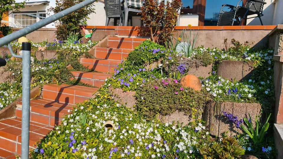 Einfamilienhaus Leimen - 6 Zimmer, 133 m&sup2;, 575.000&euro; | Angebot:26553775