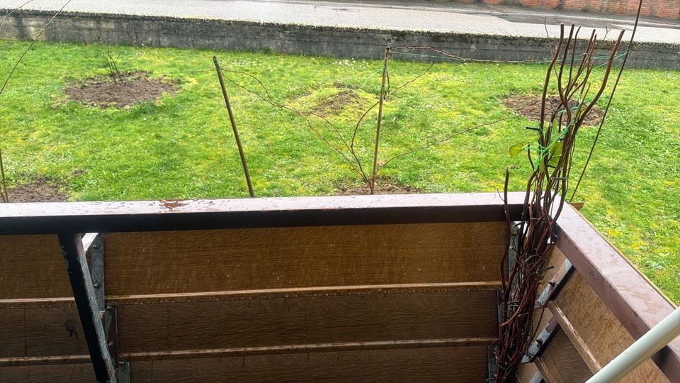 Etagenwohnung Sinsheim - 4 Zimmer, 105 m&sup2;, 1.000&euro; | Angebot:25654080