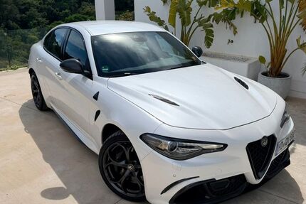 Alfa Romeo Giulia 79.100 km 50.500 &euro; Nußloch 69226