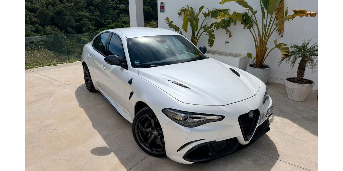 Alfa Romeo Giulia 79.100 km 50.500 &euro; Nußloch 69226