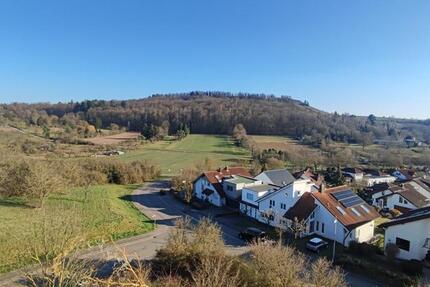 Wohnung Neckarsulm - 2 Zimmer, 43 m&sup2;, 790&euro; | Angebot:25883017