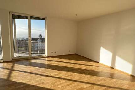 Wohnung Diedesheim Diedesheim - 2 Zimmer, 54 m&sup2;, 520&euro; | Angebot:24661968