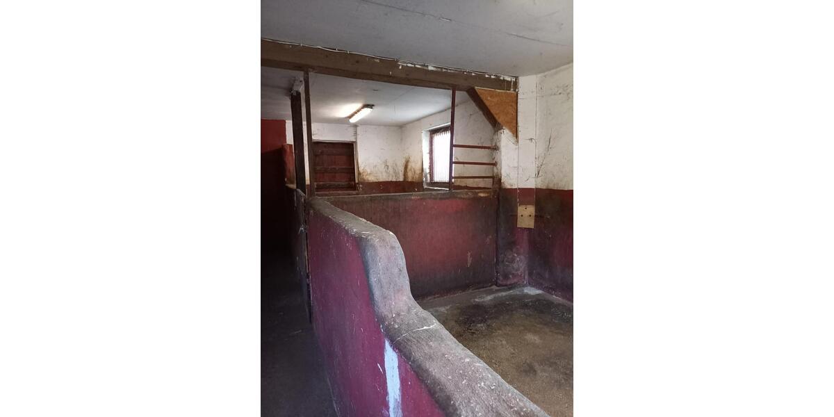 Einfamilienhaus Bretten - 6 Zimmer, 220 m&sup2;, 630.000&euro; | Angebot:24568637