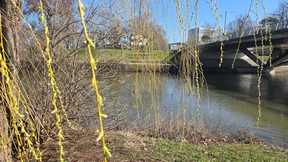 Etagenwohnung Heilbronn Kernstadt - 2 Zimmer, 38 m&sup2;, 680&euro; | Angebot:25715186