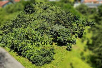 Grundstück Mosbach - 275.000&euro; | Angebot:22778365