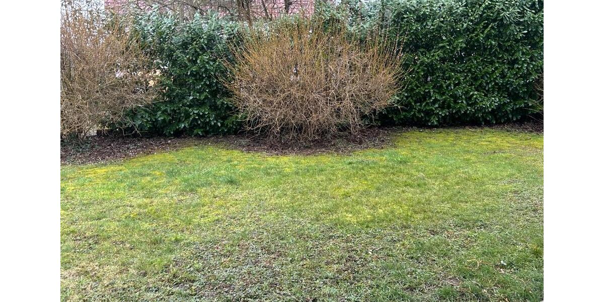 Erdgeschoßwohnung Bad Wimpfen - 2.5 Zimmer, 65 m&sup2;, 289.000&euro; | Angebot:25958743