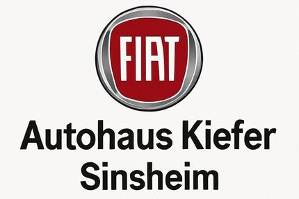 Fiat 500e 23.700 km 19.690 &euro; Sinsheim 74889