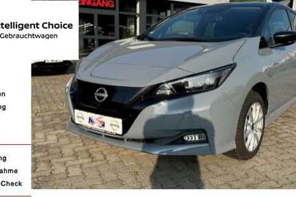 Nissan Leaf 10.000 km 22.990 &euro; Walzbachtal 75045