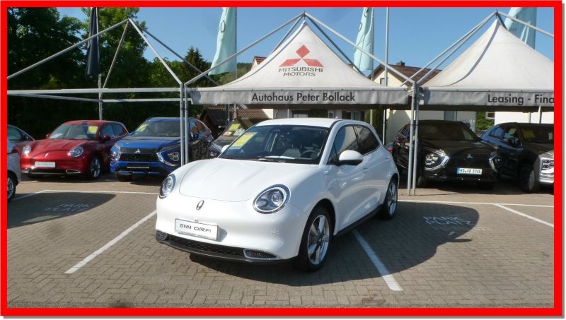 GWM Ora 03 10.910 km 19.890 &euro; Bammental 69245