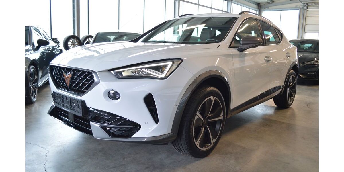 Cupra Formentor 73.100 km 22.870 &euro; Neckarsulm 74172