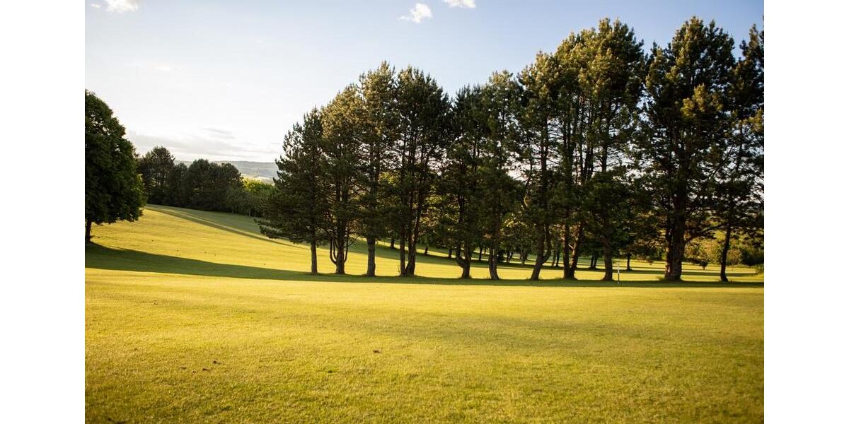 Gewerbeobjekt Wiesloch - 50&euro; | Angebot:24828417