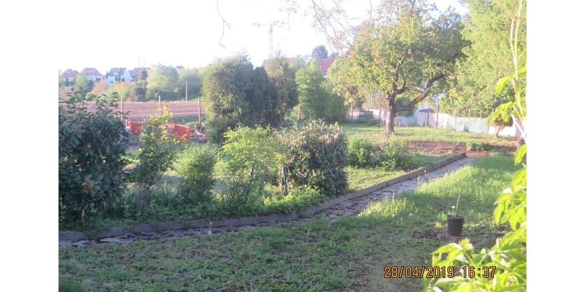 Einfamilienhaus Heilbronn Kernstadt - 2 Zimmer, 20 m&sup2;, 3.100&euro; | Angebot:25932091