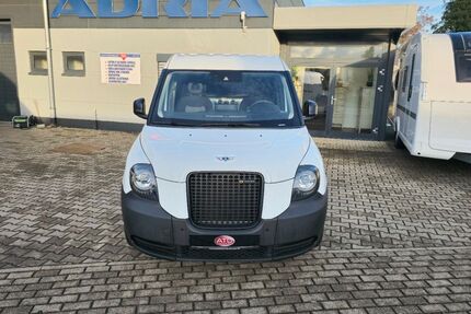 LEVC Andere 8.750 km 29.990 &euro; Sandhausen 69207