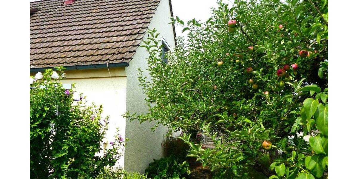 Einfamilienhaus Bietigheim-Bissingen Bietigheim - 5 Zimmer, 110 m&sup2;, 595.000&euro; | Angebot:25697229