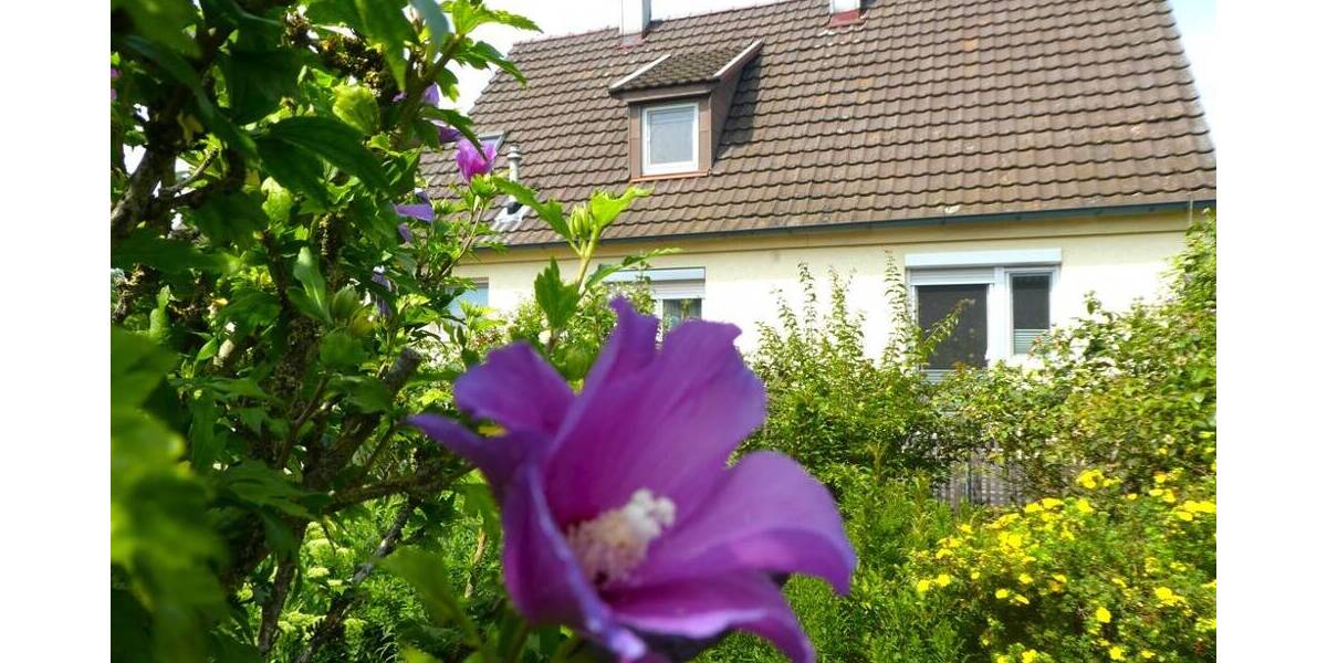 Einfamilienhaus Bietigheim-Bissingen Bietigheim - 5 Zimmer, 110 m&sup2;, 595.000&euro; | Angebot:25697229