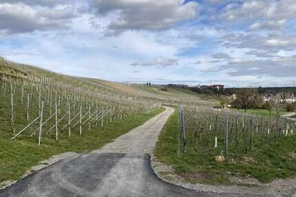 Grundstück Bönnigheim - 9.500&euro; | Angebot:25460075