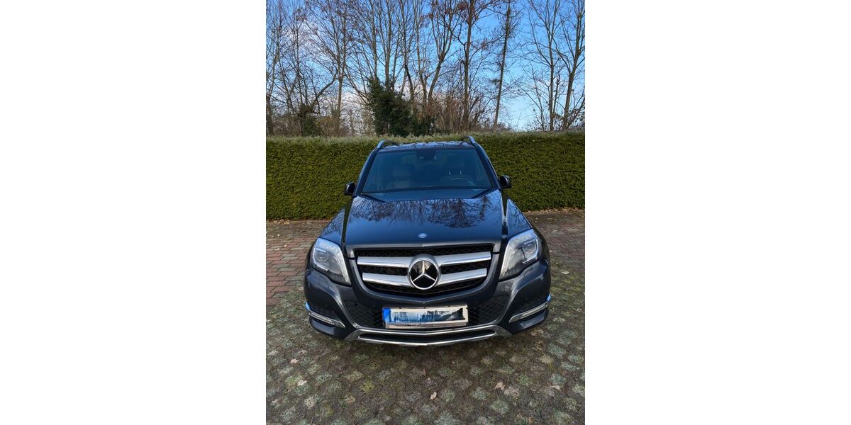 Mercedes-Benz GLK 250 296.000 km 9.400 &euro; Wiesloch 69168