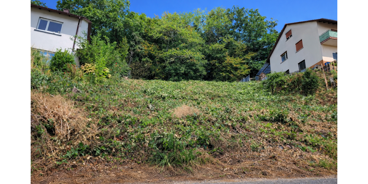 Grundstück Bammental - 335.000&euro; | Angebot:25067406