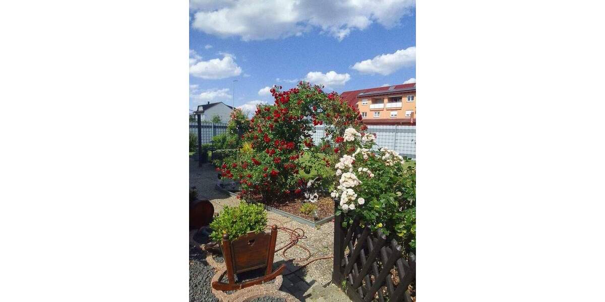 Mehrfamilienhaus, Wohnhaus Hambrücken - 1 Zimmer, 198 m&sup2;, 660.000&euro; | Angebot:25760402