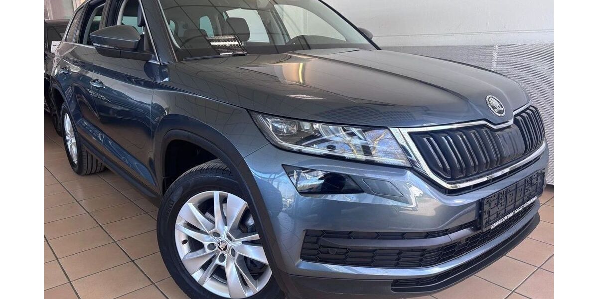 Skoda Kodiaq 115.600 km 27.490 &euro; Heilbronn 74080