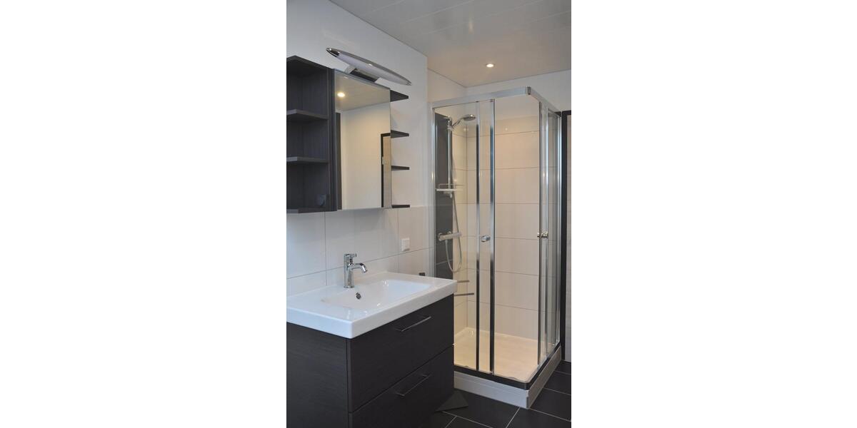 Dachgeschoßwohnung Bad Rappenau - 2 Zimmer, 55 m&sup2;, 1.150&euro; | Angebot:25537886