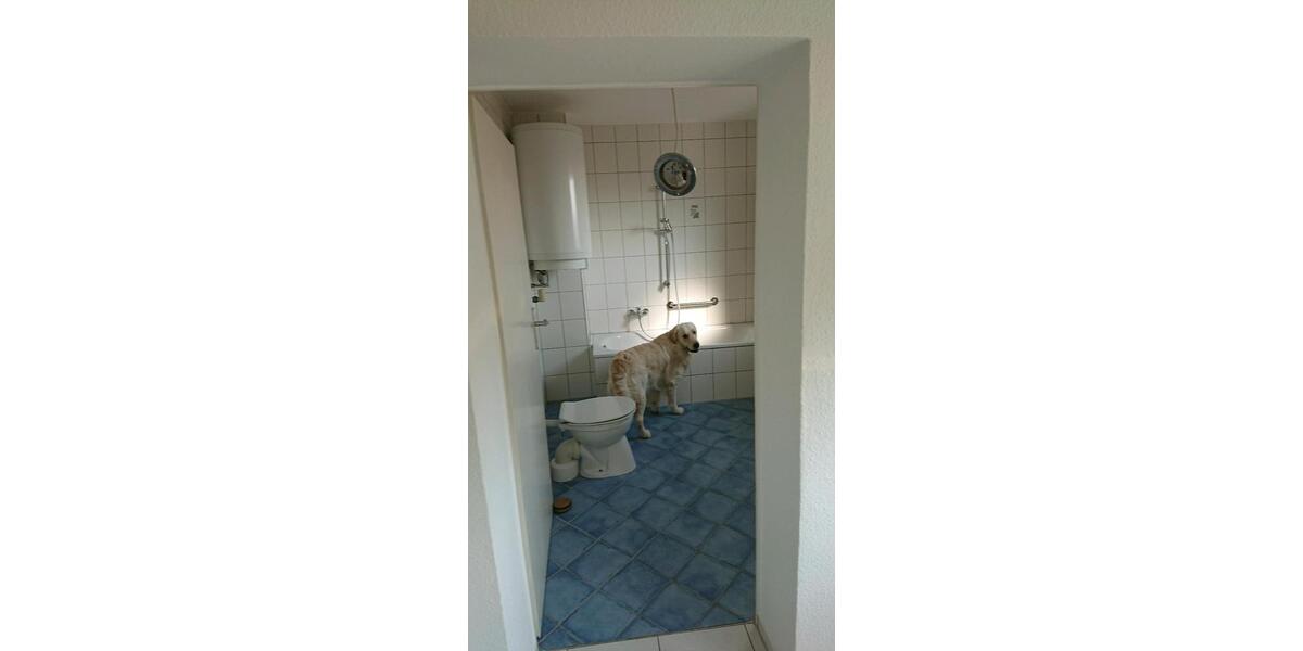 Etagenwohnung Bruchsal - 3 Zimmer, 80 m&sup2;, 800&euro; | Angebot:25634571