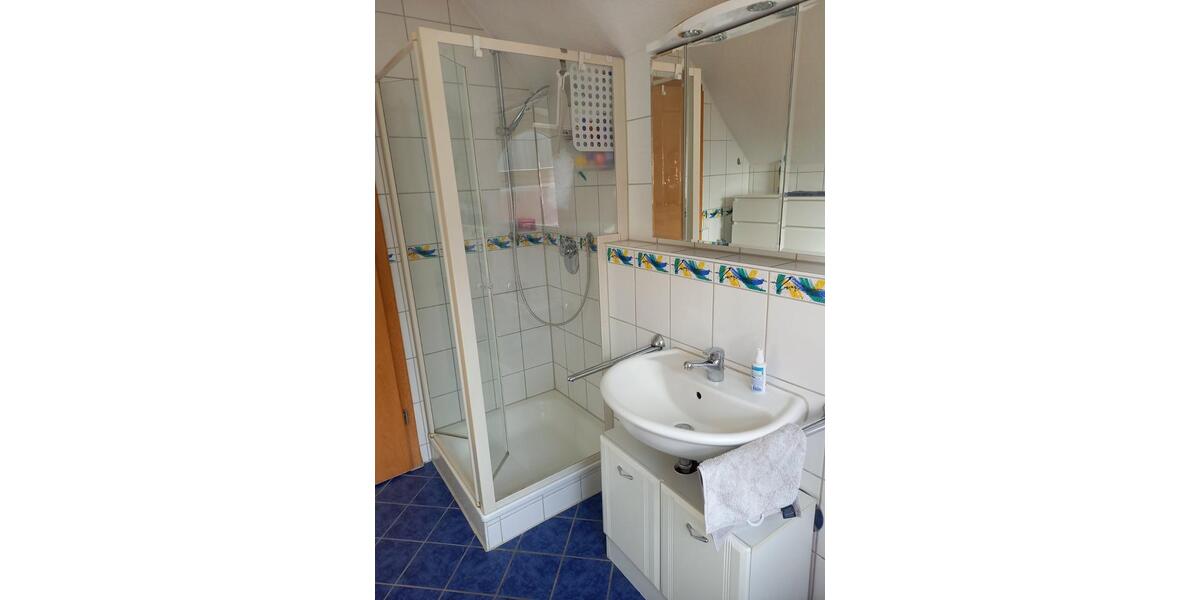 Dachgeschoßwohnung Leingarten - 2 Zimmer, 47 m&sup2;, 470&euro; | Angebot:25163223