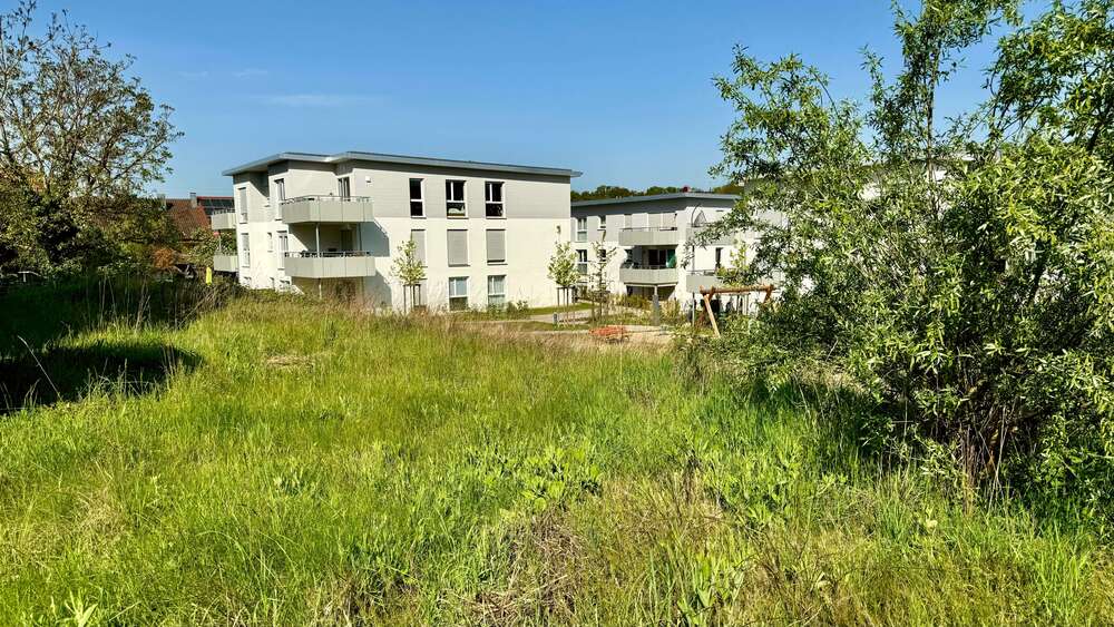Grundstück Markgröningen - 165.000&euro; | Angebot:25457817