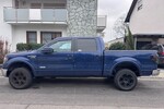 Ford F150 260.000 km 10.489 &euro; Sandhausen 69207