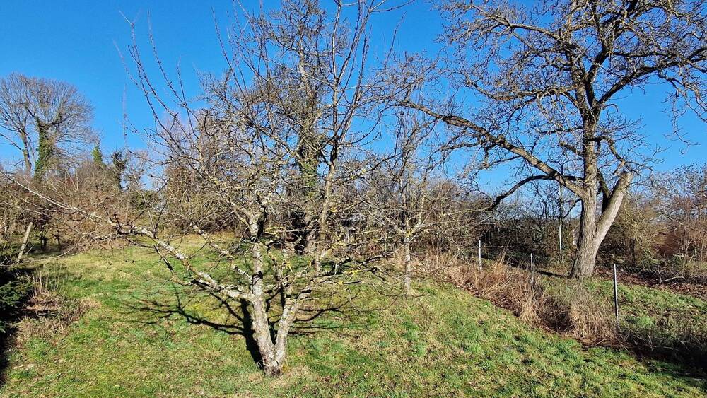 Einfamilienhaus Ölbronn-Dürrn Dürrn - 6 Zimmer, 136 m&sup2;, 294.000&euro; | Angebot:25725638