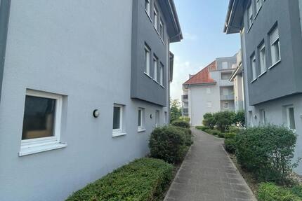 Wohnung Sinsheim - 2.5 Zimmer, 59 m&sup2;, 218.500&euro; | Angebot:24488090