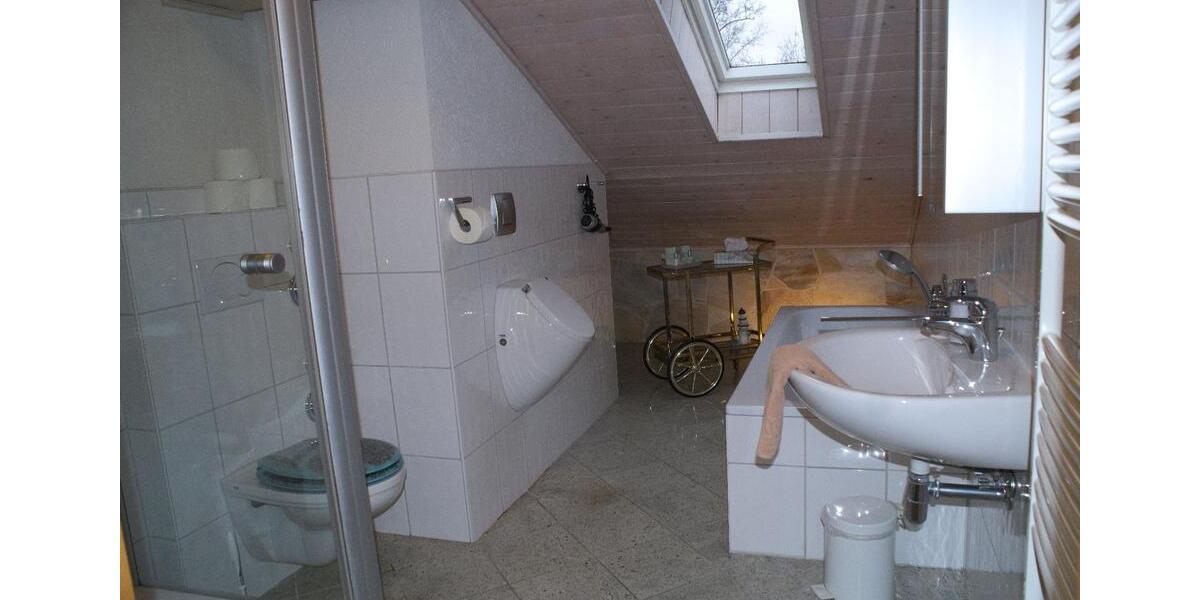 Dachgeschoßwohnung Bad Schönborn - 4 Zimmer, 110 m&sup2;, 1.100&euro; | Angebot:26478725