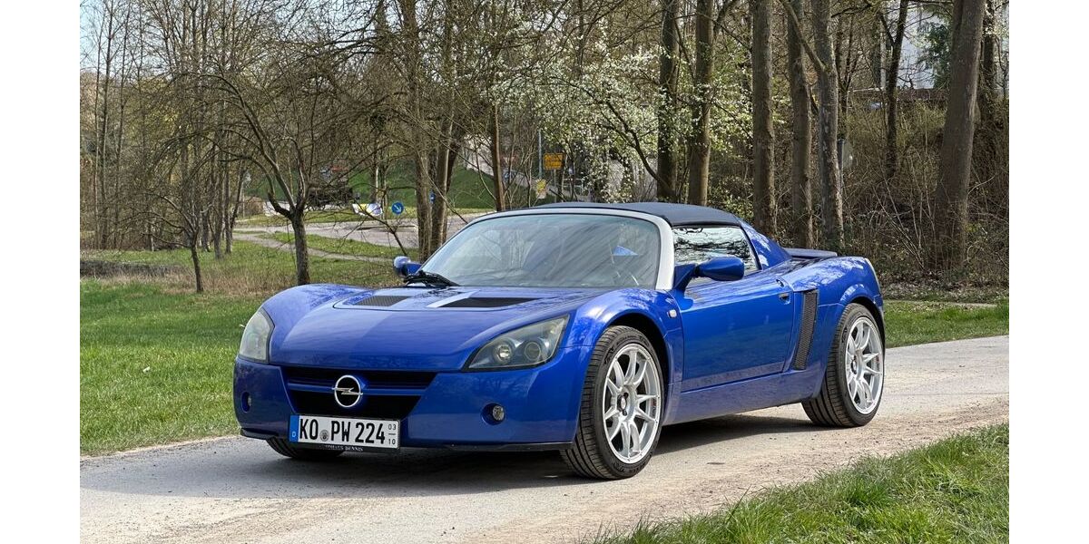 Opel Speedster 136.800 km 17.900 &euro; Oberriexingen 71739