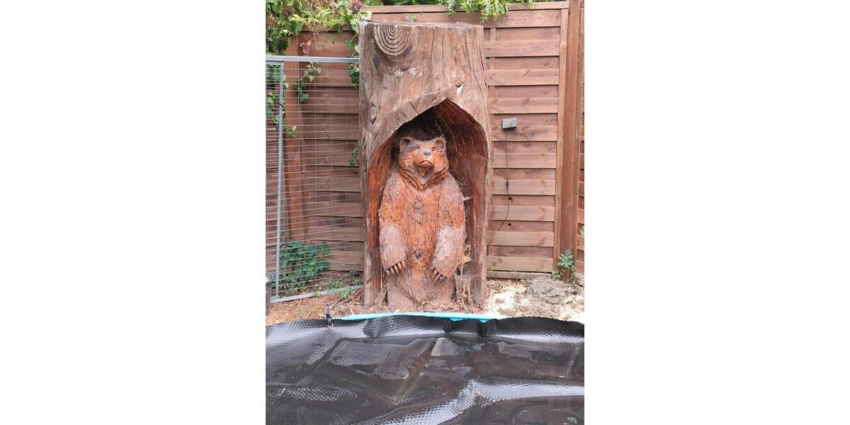 Doppelhaushälfte Bretten - 2 Zimmer, 100 m&sup2;, 450.000&euro; | Angebot:24818968