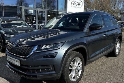 Skoda Kodiaq 169.900 km 22.990 &euro; Bruchsal 76646