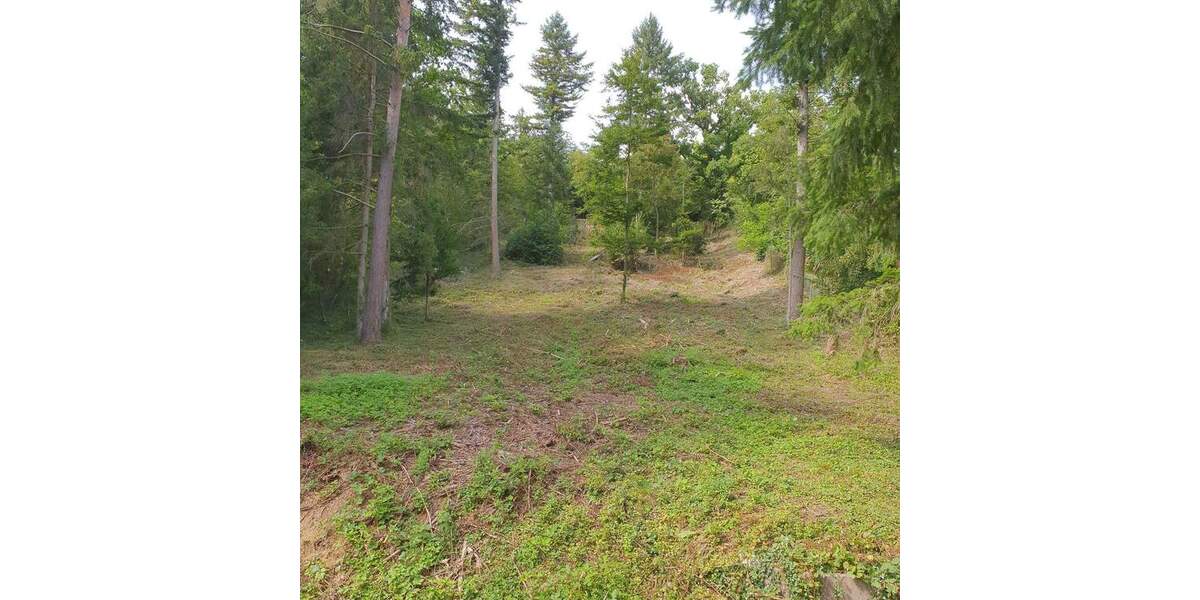 Grundstück Kieselbronn - 39.900&euro; | Angebot:25899063