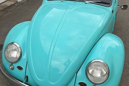 VW Käfer 59.166 km 16.800 &euro; Sinsheim 74889