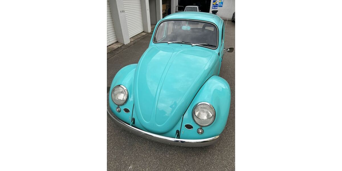 VW Käfer 59.166 km 16.800 &euro; Sinsheim 74889