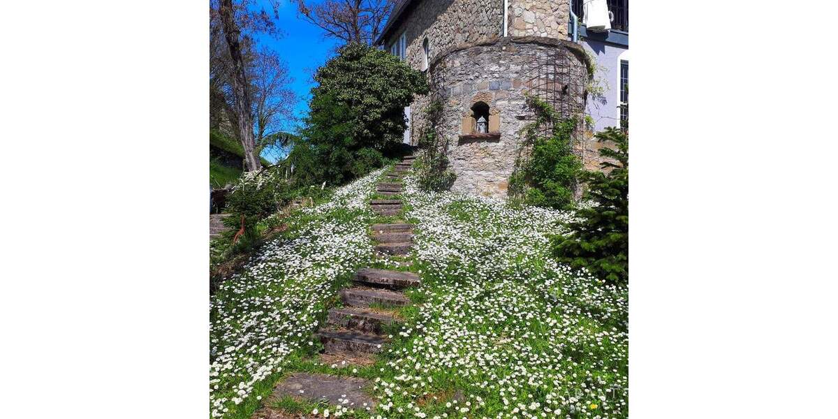 Mehrfamilienhaus, Wohnhaus Bad Wimpfen - 5 Zimmer, 213 m&sup2;, 847.000&euro; | Angebot:25682768