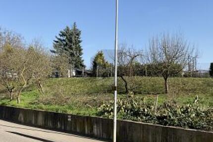 BAUPLATZ FÜR EIN MEHRFAMILIENHAUS - Grundstück Walzbachtal | Angebot:25842867