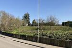 BAUPLATZ FÜR EIN MEHRFAMILIENHAUS - Grundstück Walzbachtal | Angebot:25842867