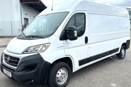 Fiat Ducato 128.000 km 15.469 &euro; Rauenberg 69231