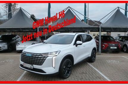 GWM HAVAL H6 2.000 km 31.450 &euro; Bammental 69245