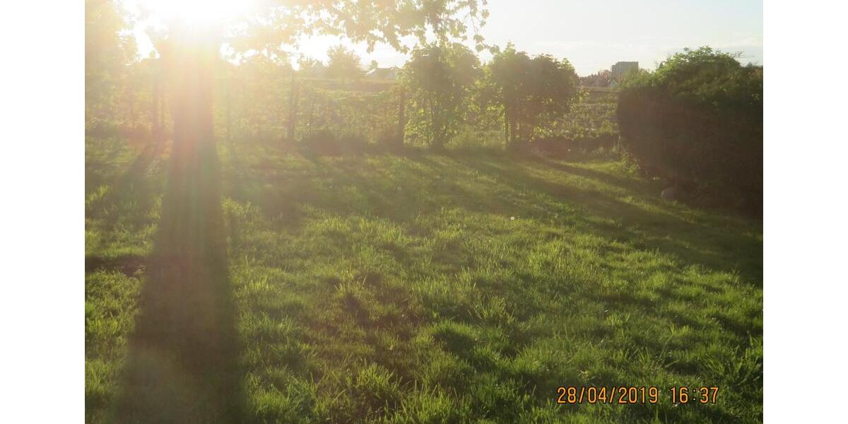 Einfamilienhaus Heilbronn Kernstadt - 2 Zimmer, 20 m&sup2;, 3.100&euro; | Angebot:25932091